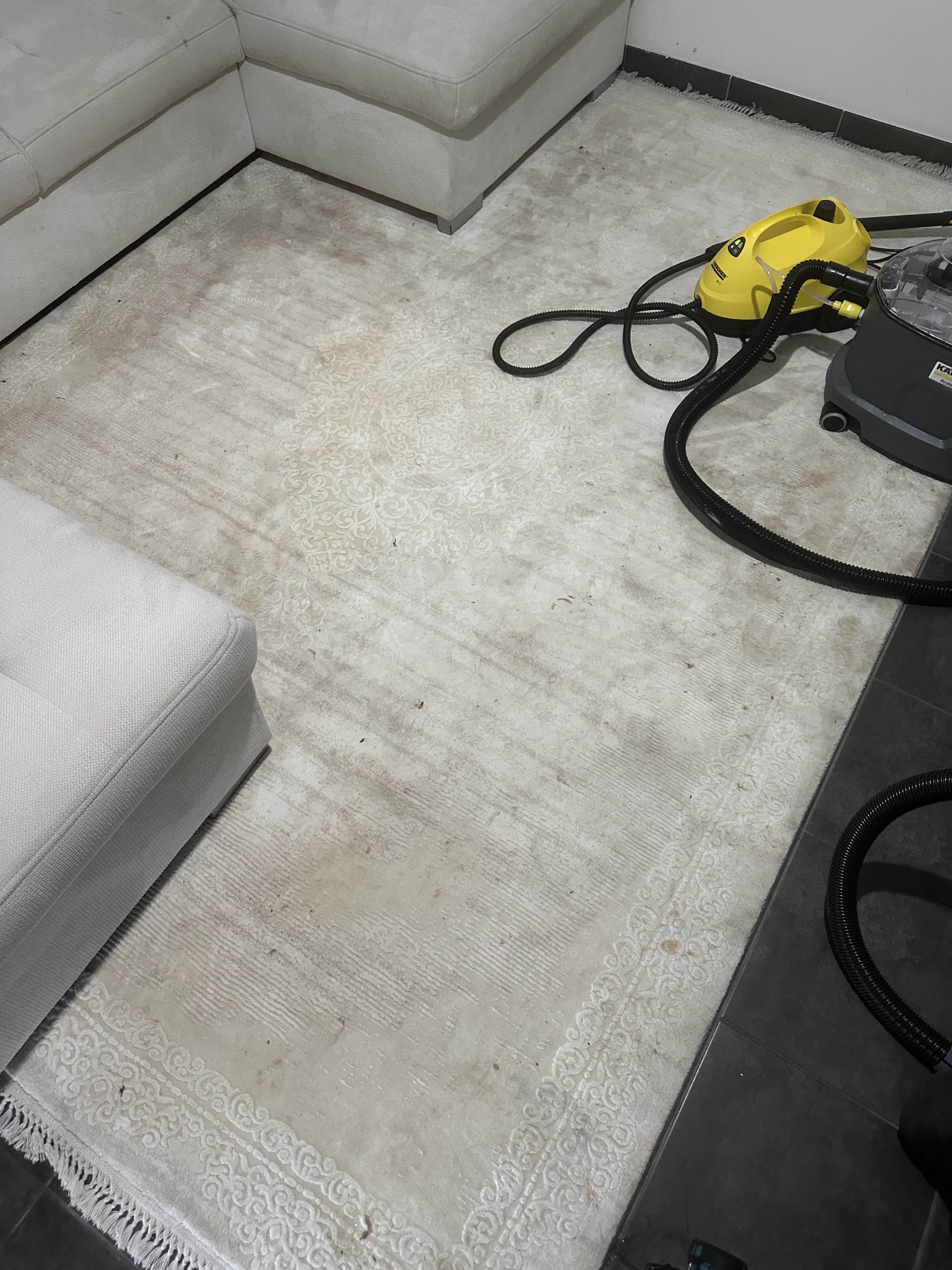 Tapis avant nettoyage